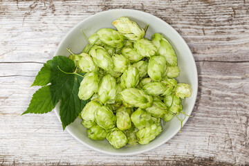 Hop cones in bowl on old wooden surface, top view