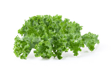 Obraz premium Kale leaf salad vegetable isolated on white