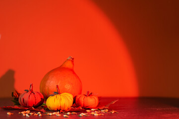 Naklejka na ściany i meble Fresh pumpkin and fabric pumpkins stand on a table on an orange background