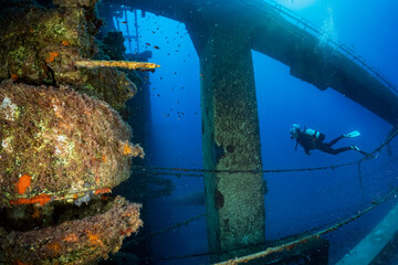 A scuba diver explores a sunken shipwreck on the ground of the ocean