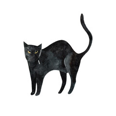 Watercolor drawing black cat isolated on white background. Hand drawn. Halloween