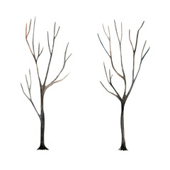 Watercolor drawing two silhouettes of a tree without leaves isolated on a white background. Dark autumn forest. Halloween.
