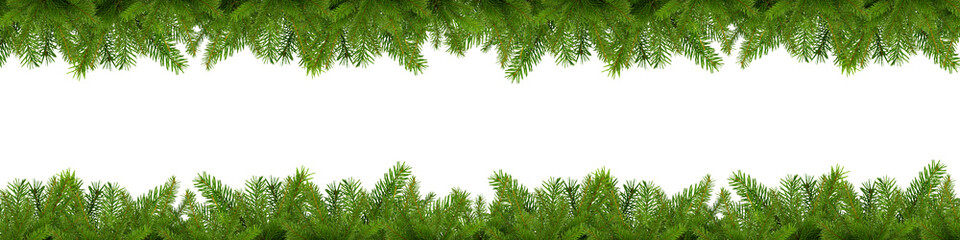 Large rectangular banner with unadorned fir branches with empty space for copy, advertisement or text. Isolated fir twigs. A repeating pattern.