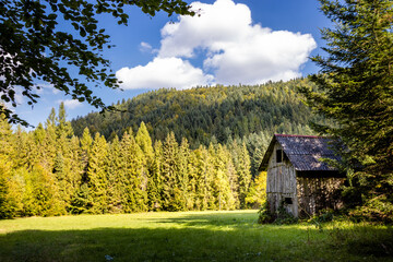 Stary domek pośród gór i lasów © Rafal Kot