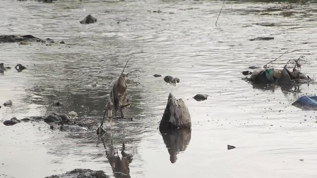 Environmental Disaster, Plastic And Garbage Trash Dumped In River Waterway
