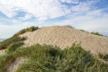 Naklejka premium the dunes, Haamstede, Zeeland, the Netherlands