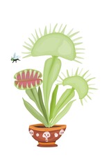 Venus flytrap dangerous predatory plant botany new