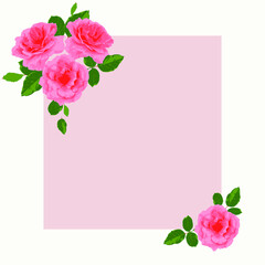 vector banner with a place for text, decorated with pink roses with leaves