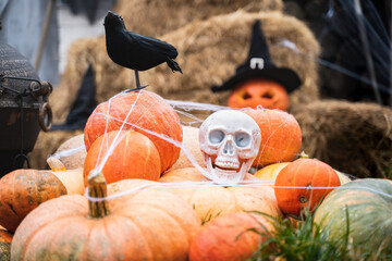 Bunch of orange pumpkins for halloween, big white skull, black raven, wizard hat, jack-o-lantern...