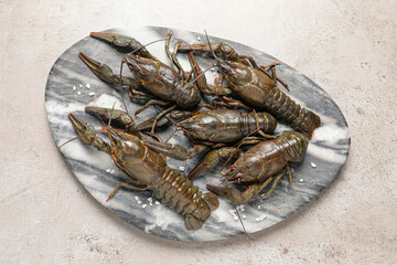 Fresh raw crayfishes with salt on light grey table, top view