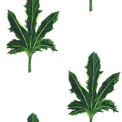 Watercolor green leaf of zucchini in seamless pattern on white background. Aquarelle hand drawing illustration. Perfect for wallpaper