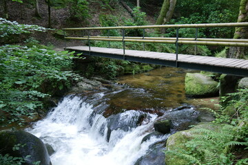 Fototapeta na wymiar Wanderbrücke am Geroldsauer Wasserfall