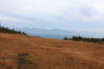 秋の尾瀬。紅葉の中、アヤメ平に向かうハイキングコース。