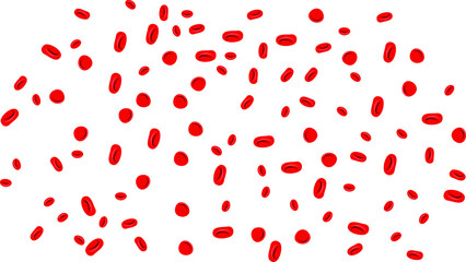 Vector of the bloody cells