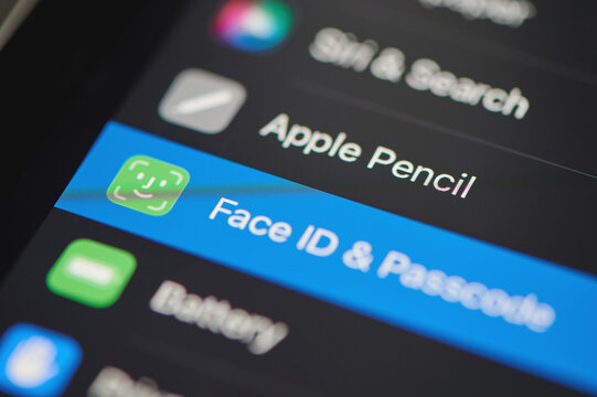 Check Face ID Menu On Ipad Panel