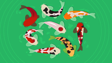 Obraz premium Koi fish. Art vector illustration.