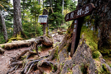 蝶ヶ岳登山道の休憩地