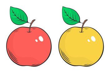 Red and yellow apple. Appetizing fruit for a healthy diet. Vector isolated illustration hand drawn