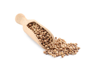 Dried coriander seeds with wooden scoop on white background