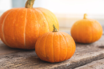 Autumnal Background. Natural autumn fall view pumpkins on wooden background. Inspirational october or september wallpaper. Change of seasons ripe organic food concept, Halloween party Thanksgiving day