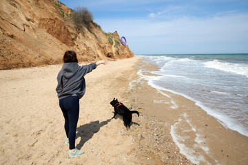 Labrador black dog pet playing on the beach by the sea. High quality photo