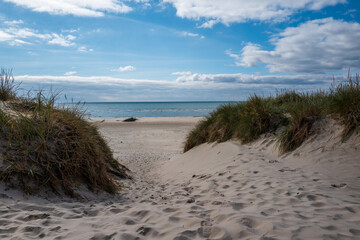 sand dunes on the beach