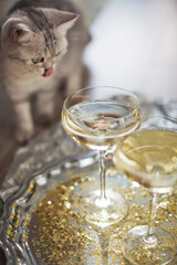 Glass of champagne with golden stars
