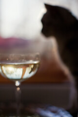 Glass of champagne with golden stars