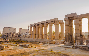 Obraz premium Rows of the graved columns of the ruins in an ancient city of Luxor, Egypt