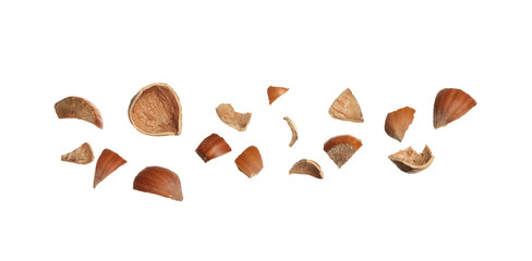 Pieces of hazelnut shell on white background