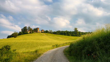 Fototapeta na wymiar Rural landscape near Pianello Val Tidone and Agazzano, Emilia-Romagna, at May
