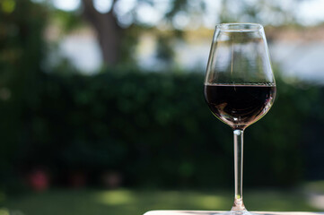 Copa de vino tinto