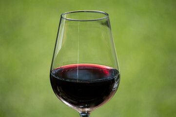 Copa de vino tinto