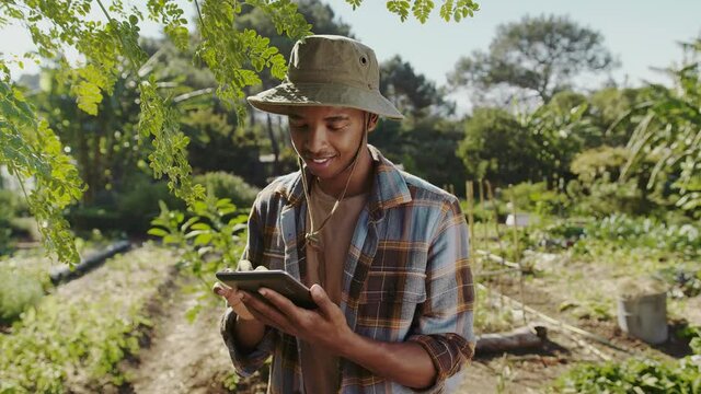 Mixed race male farmer standing in garden typing on digital tablet