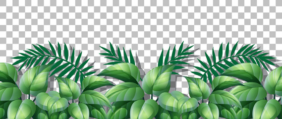 Fototapeta premium Grass and plants on transparent background for decor