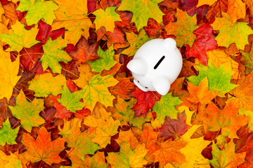 Coin piggy bank on fall leaves