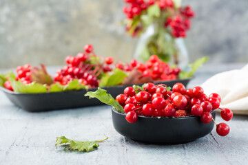 Ripe viburnum berries with leaves in a bowl and branches of viburnum on a substrate on the table. Wellness, Alternative Medicine and Vitamin Nutrition. Close-up