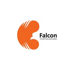 abstract Falcon Eagle Bird Template vector