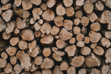 Olive wood firewood pile