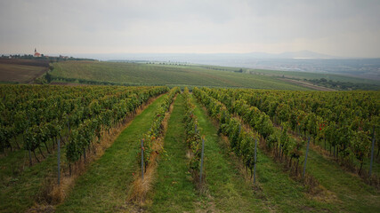 Fototapeta na wymiar Czech Republic wine region of Moravia aerial view