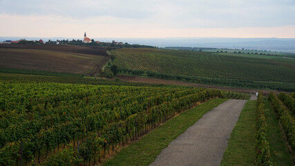 Fototapeta na wymiar Czech Republic wine region of Moravia aerial view, hilly vineyard in Kobyli