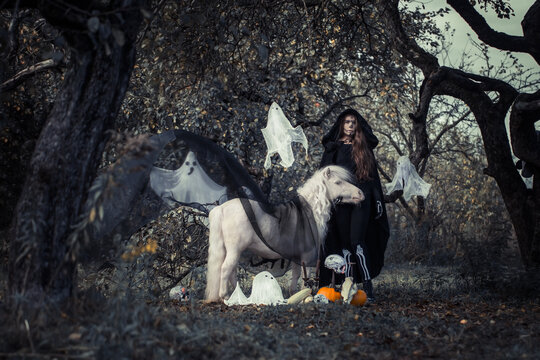 Girl and Horse with Halloween Decorations. Halloween animal.