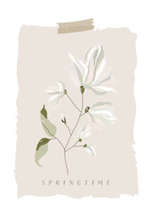 Magnolia flower tree branch hand drawn illustration on beige background