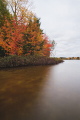 Autumn Lakeshore in the Forest