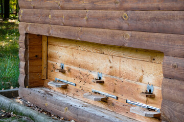  A fragment of a hut for beehive therapy. Beehives are in the house wall. Ukraine. 