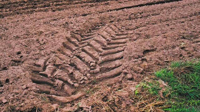 Heavy Tractor Truck Tyre Tracks on Muddy Field Soil during Harvesting Season