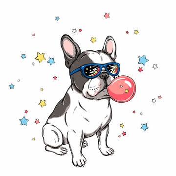 Cute french bulldog with bubble gum. Dog on a background of stars. Image for printing on any surface	