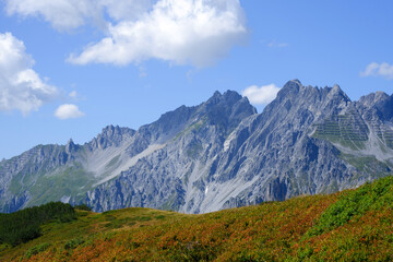 Fototapeta premium landscape in autumn