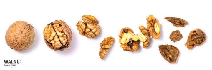 Walnuts isolated on white background. Walnut kernels and whole walnuts