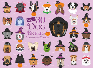Set of 30 dog breeds with Halloween costumes. Set 2